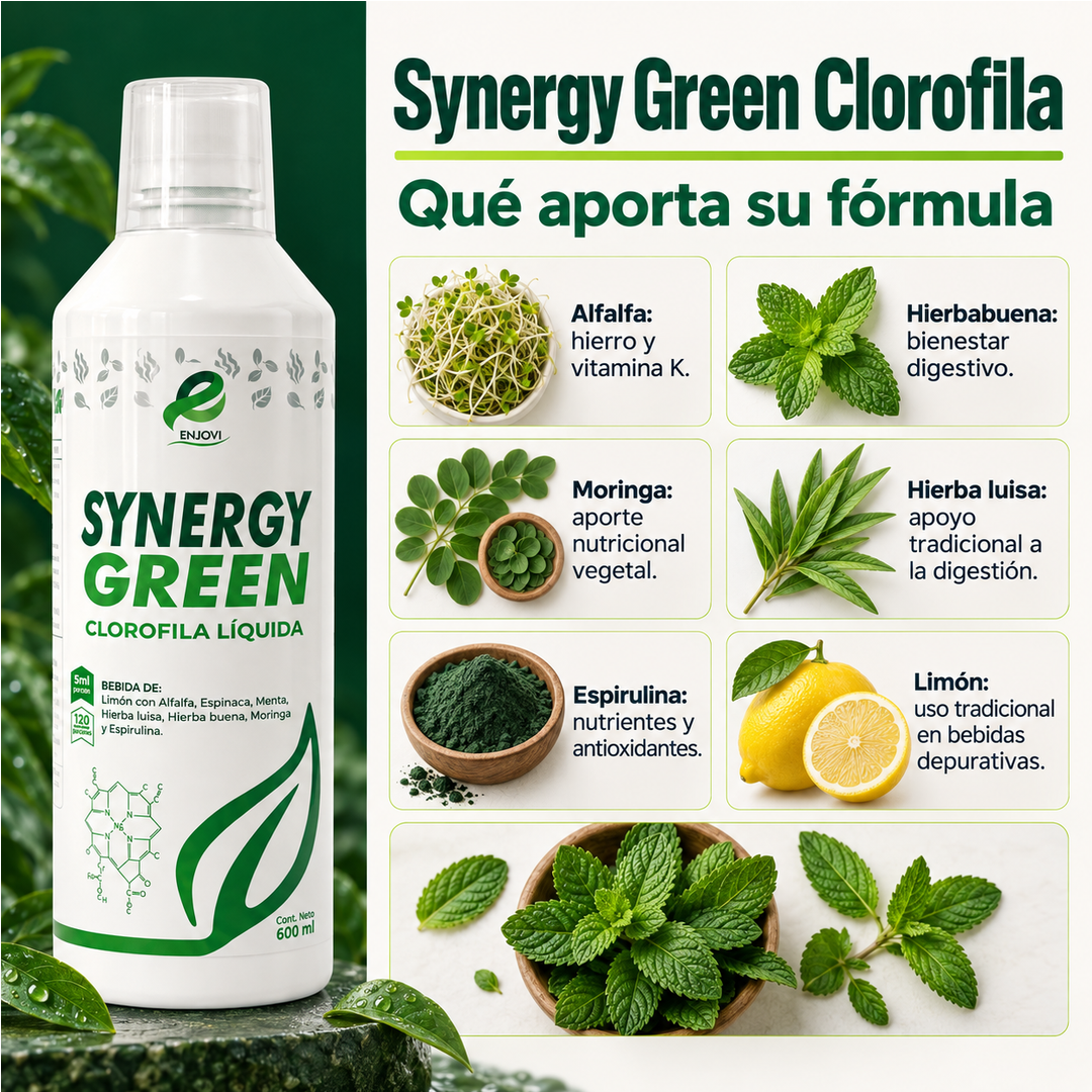Synergy Green Clorofila - Botella 600 ml - Imagen 3
