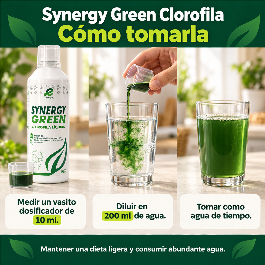 Synergy Green Clorofila - Botella 600 ml - Imagen 4
